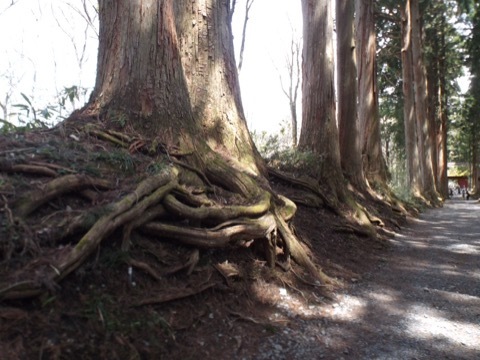 d0115985_16123677.jpeg