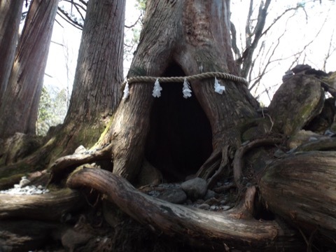 d0115985_16125386.jpeg