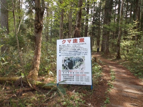 d0115985_16143577.jpeg