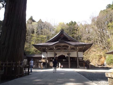 d0115985_16174451.jpeg