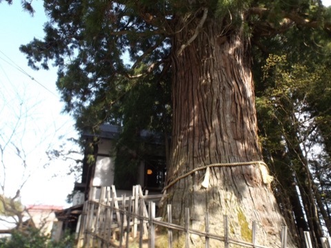 d0115985_16183328.jpeg