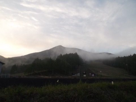 d0115985_16192144.jpeg