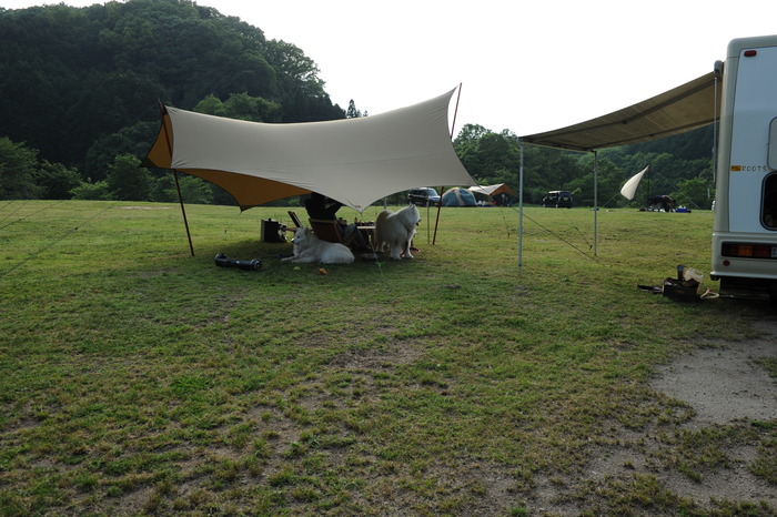 今シーズン最後かな?_a0049296_2002059.jpg
