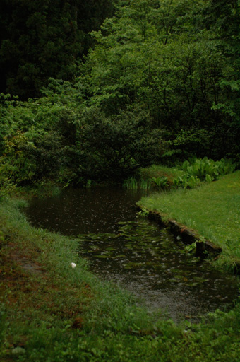 a0061599_73295.jpg