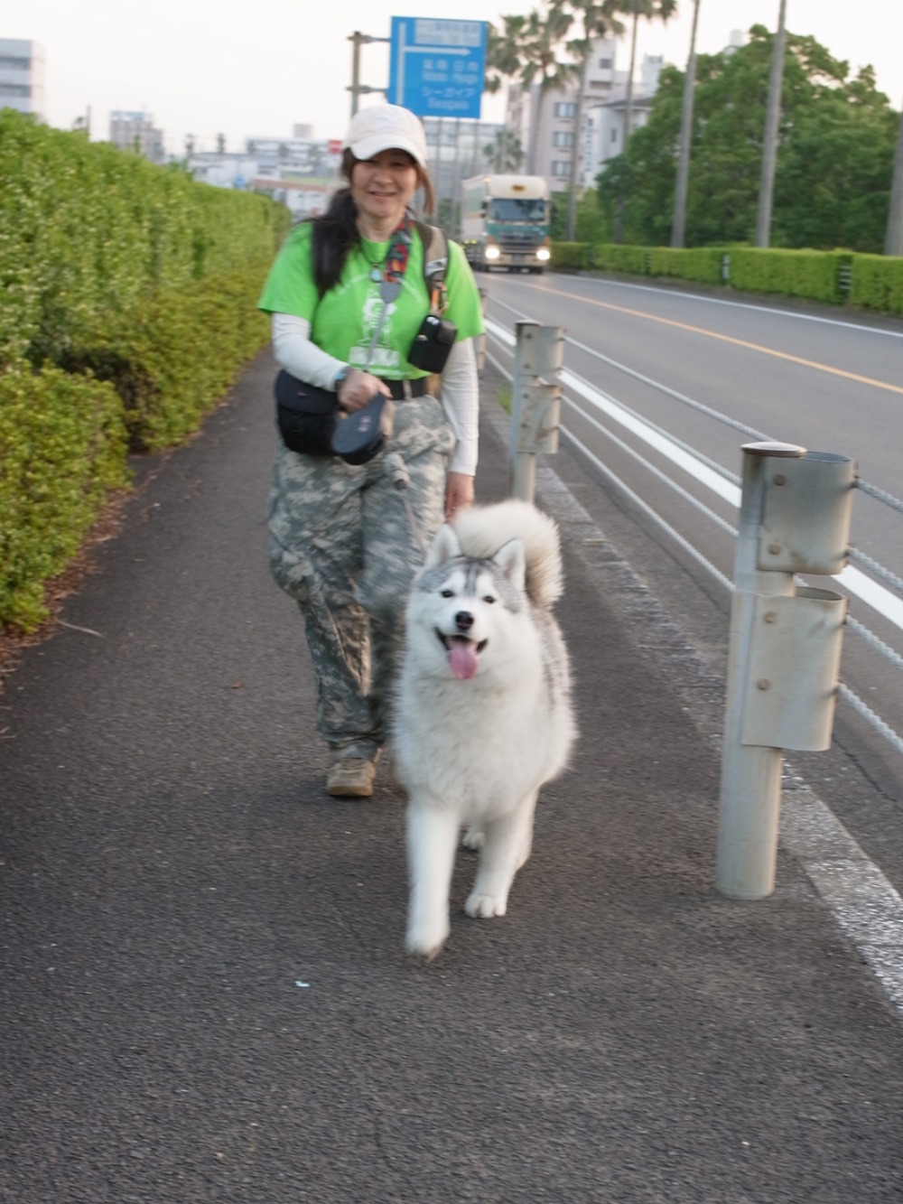花々の季節 (^o^)_c0049299_22275879.jpg
