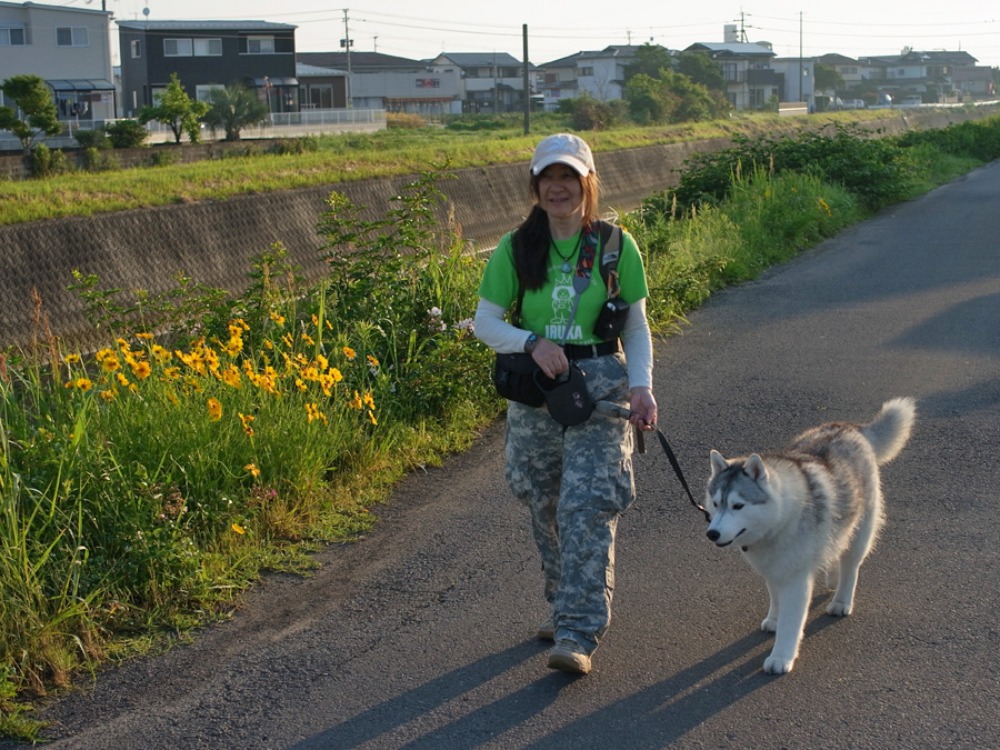花々の季節 (^o^)_c0049299_22444736.jpg