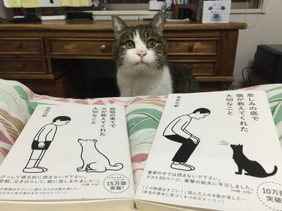 猫も犬も・・・_a0039600_6283914.jpg