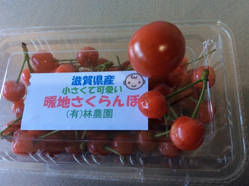 b0220002_20180931.jpeg