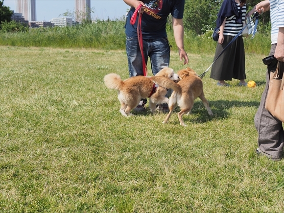 e0242804_22382350.jpg
