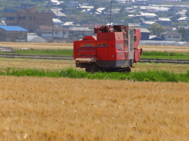 f0231709_22203262.jpg