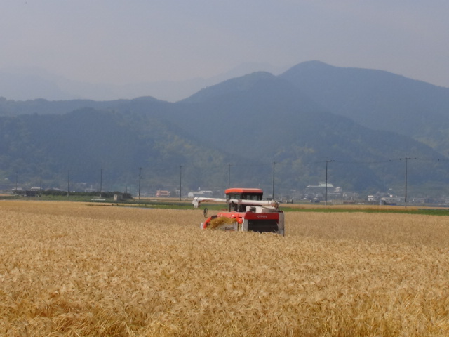 f0231709_22211317.jpg