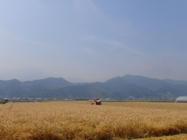 f0231709_22213149.jpg