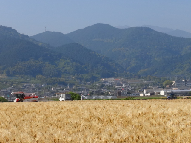f0231709_2223830.jpg