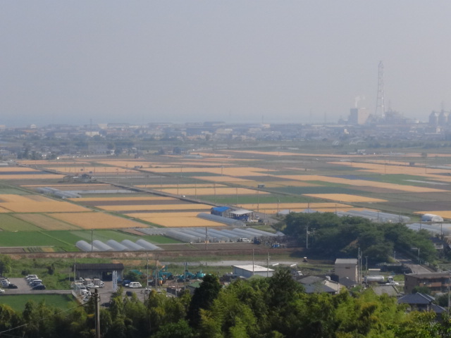 f0231709_22244770.jpg