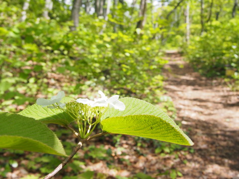 b0147224_2323629.jpg