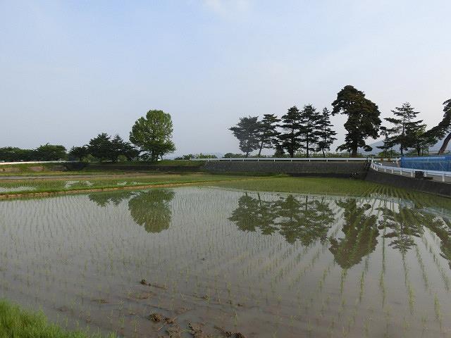 e0234924_17291222.jpg