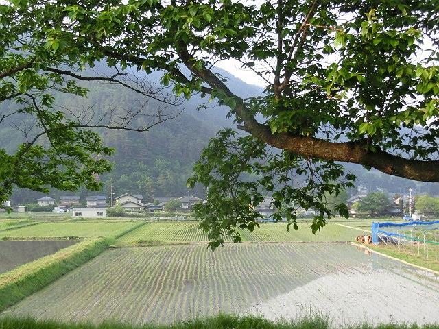e0234924_17340350.jpg