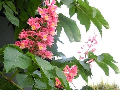 e0234924_17514201.jpg