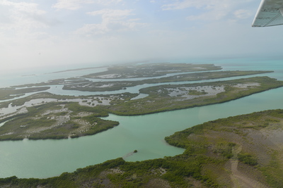a0124132_21143628.jpg