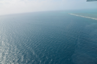 a0124132_21162774.jpg