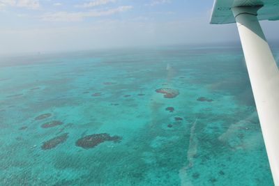 a0124132_2118165.jpg