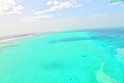 a0124132_21233499.jpg