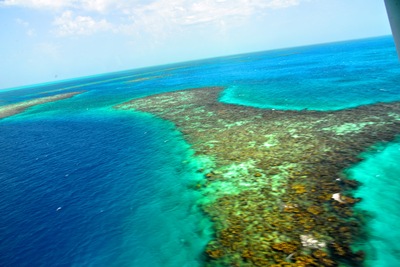 a0124132_21242639.jpg