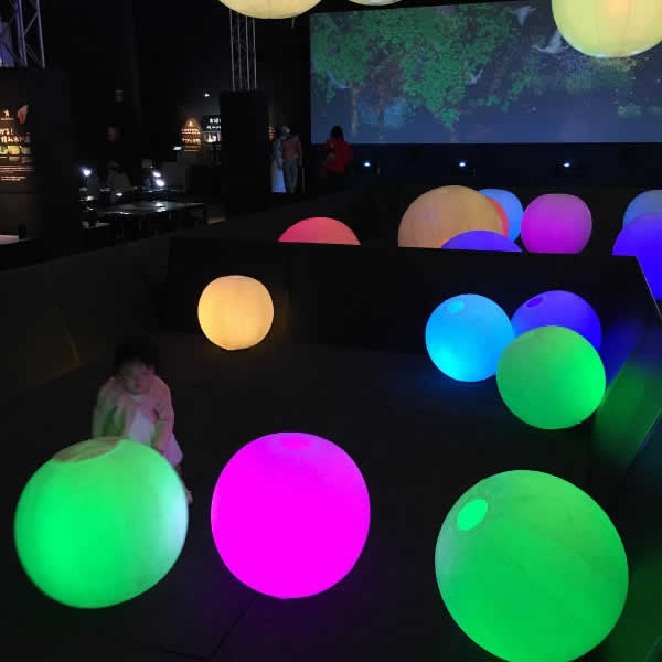 c0181543_2392483.jpg