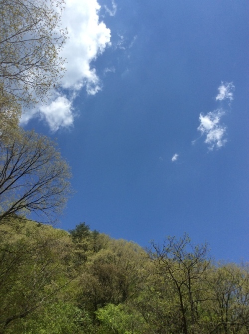 f0191444_11383353.jpg