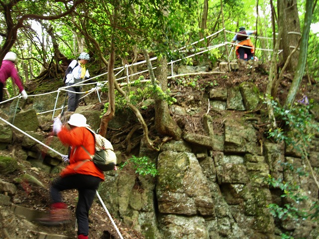 d0048350_20165160.jpg