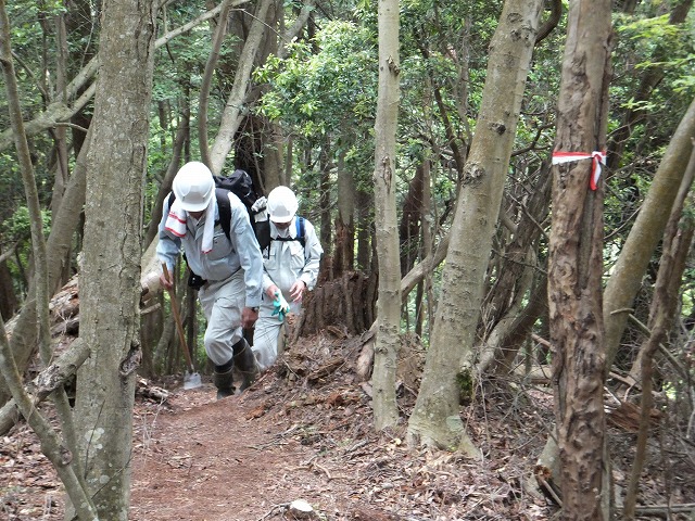 d0048350_2018280.jpg