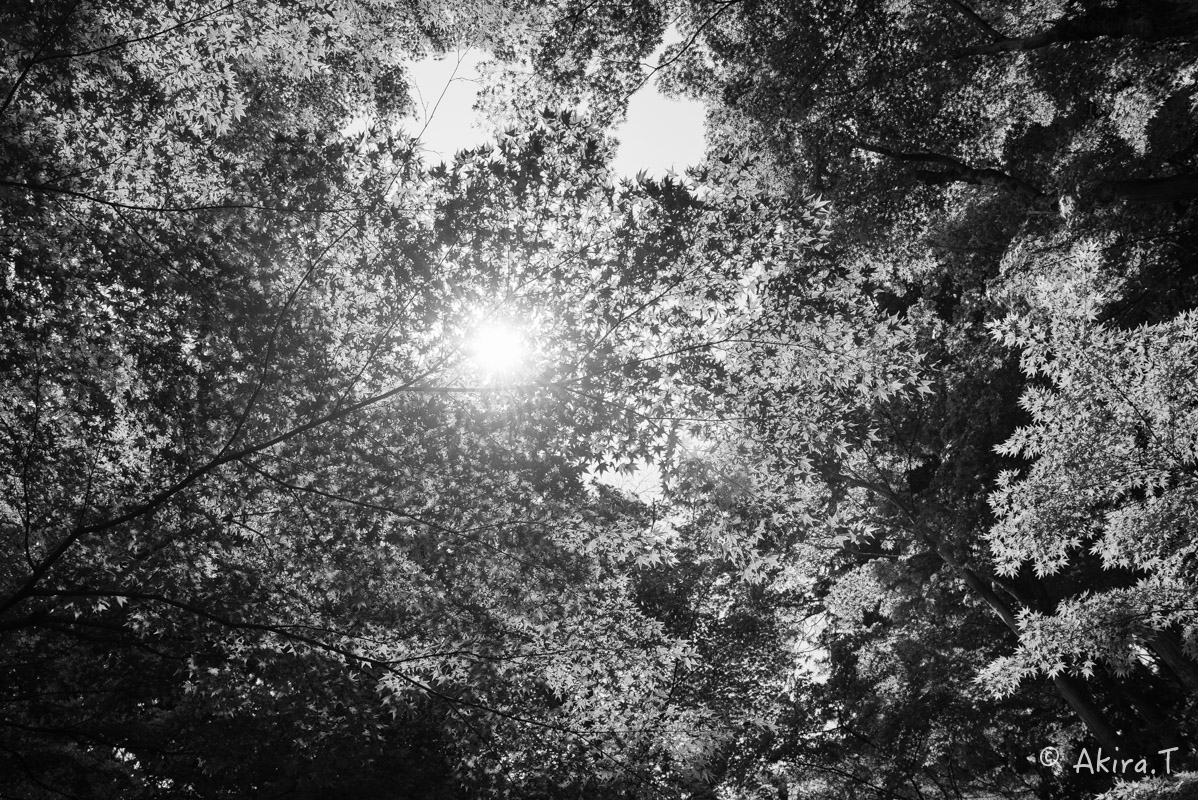 f0152550_2213182.jpg