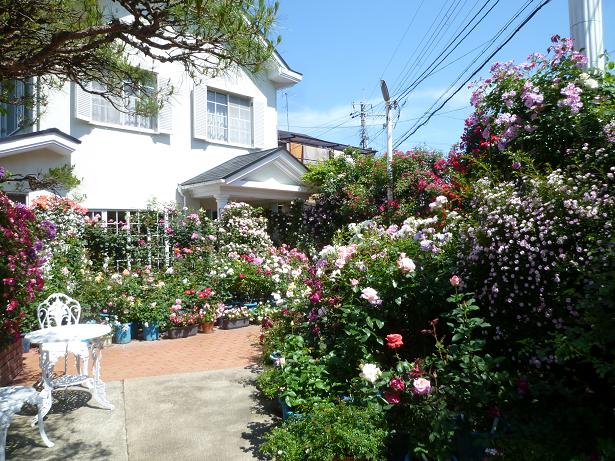 葵祭・ご夫婦のお客様その2・薔薇のカフェへ。_f0181251_19191510.jpg