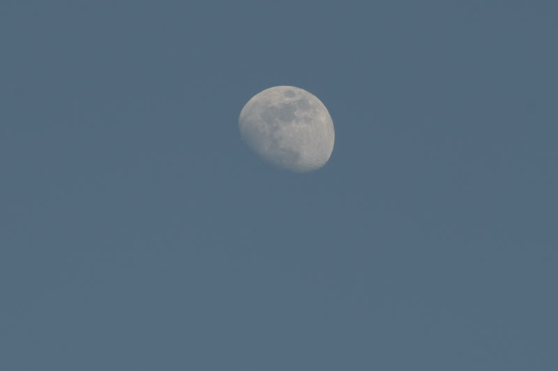 d0342652_16226.jpg