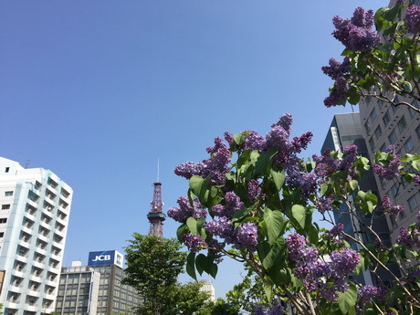 e0324053_20032289.jpg