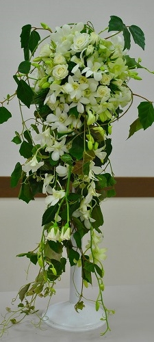 e0218557_1713519.jpg