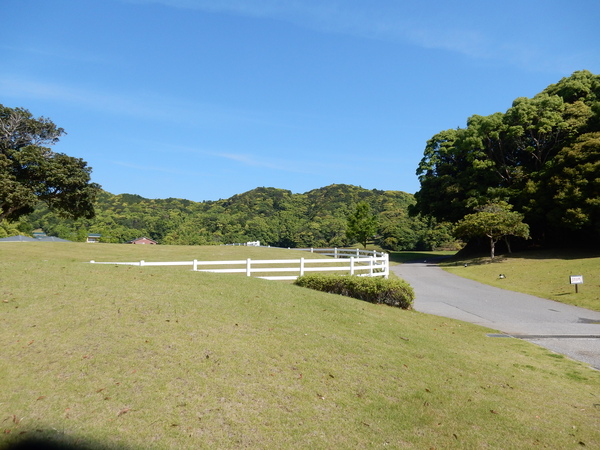 ’16,5,18(水)気持ち良すぎる散歩!_f0060461_11304724.jpg