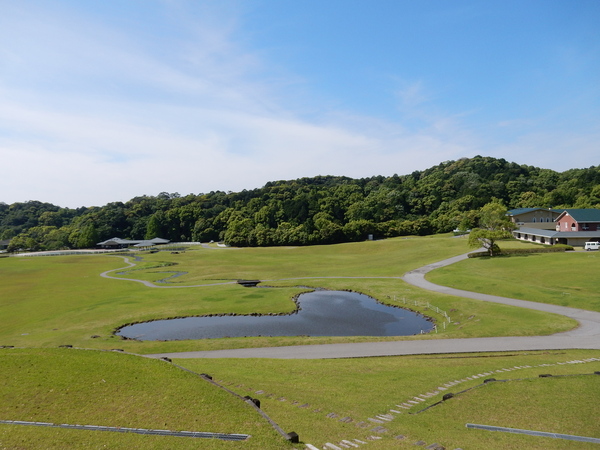 ’16,5,18(水)気持ち良すぎる散歩!_f0060461_11444311.jpg
