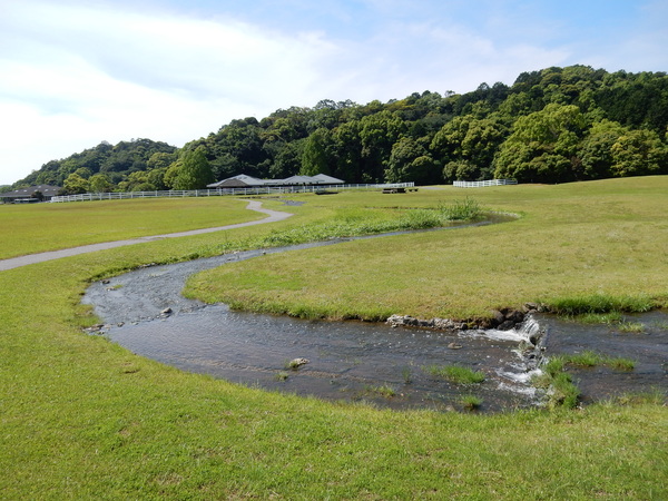 ’16,5,18(水)気持ち良すぎる散歩!_f0060461_11473364.jpg