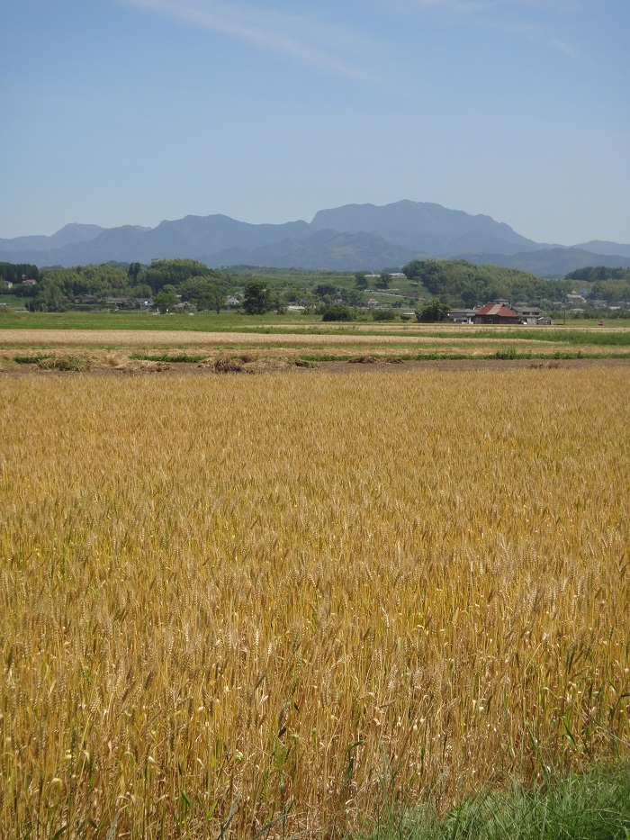 ◆熊本は広い　～熊本地震～_f0238779_23331087.jpg