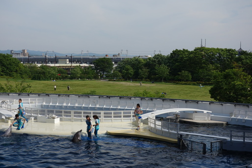 京都水族館へ行ってみました_b0159780_1456342.jpg