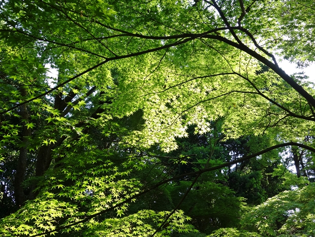b0018682_21351991.jpg