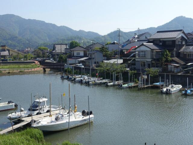 浜坂の鯉のぼり（新温泉町浜坂区）_d0076283_09303028.jpg