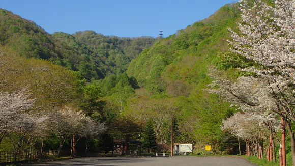 a0242984_22324622.jpg