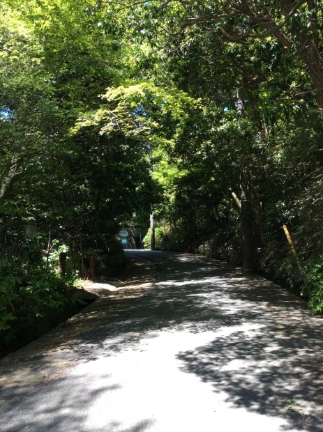 f0355189_12101534.jpeg