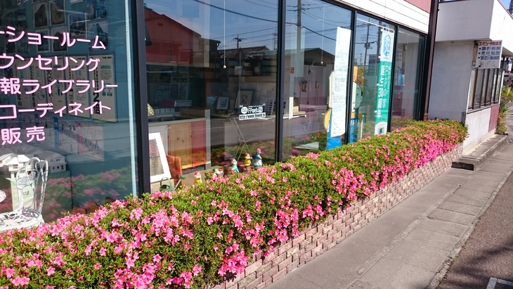 皐月、5月、花が咲いた_c0066693_16321033.jpg
