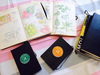 あまがい繁子さんの大人の絵日記 秋田 蕗だより あまがい繁子さんの大人の絵日記 秋田 蕗だより