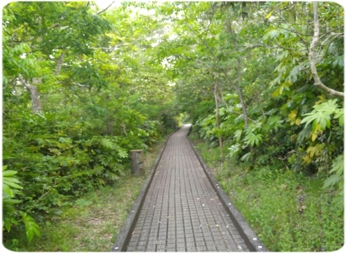 d0347205_20314578.jpg