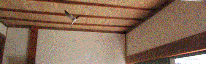 f0231709_112150100.gif