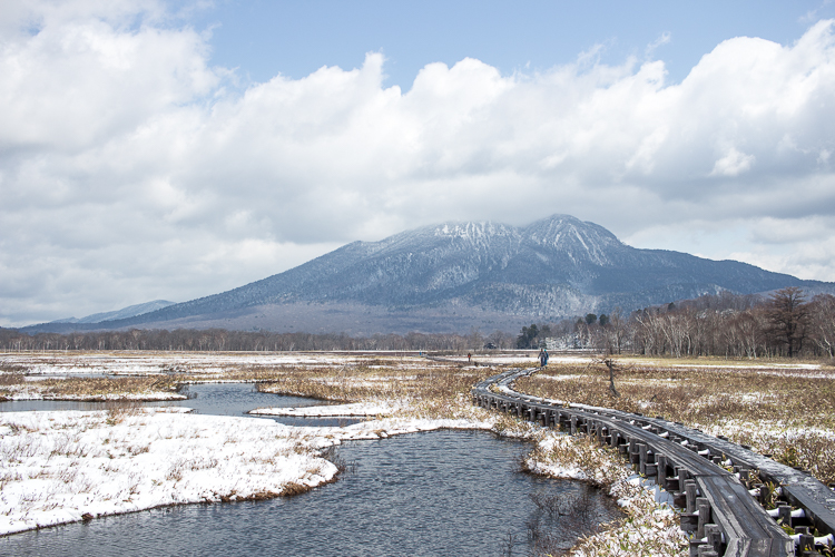 凍て付く水芭蕉　小雪舞う尾瀬_b0244811_23472819.jpg